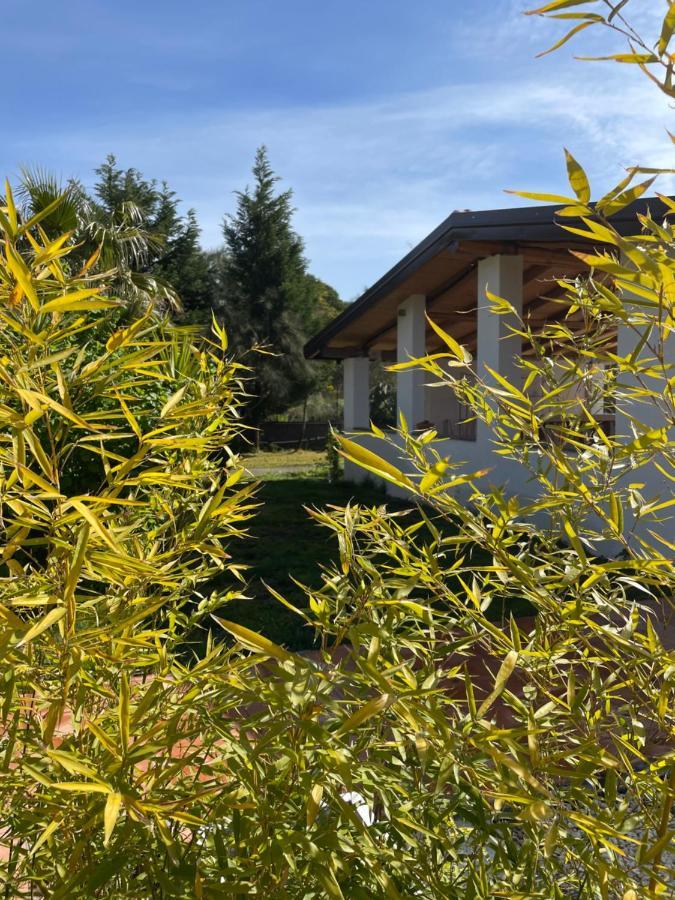 Bed and Breakfast Etna Petit Relais Nicolosi Exterior foto